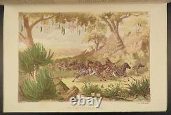 1866 1ed Nature and ART Early Color Illustrated Printing Animals FOLIO 2v SET