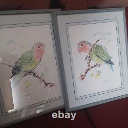 2 Framed Parrot Lithography signed by Judie Stevens & #226/600 watercolor artist