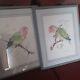 2 Framed Parrot Lithography Signed By Judie Stevens & #226/600 Watercolor Artist