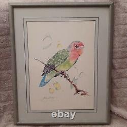 2 Framed Parrot Lithography signed by Judie Stevens & #226/600 watercolor artist