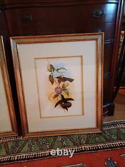 2 Vintage W. KING AMBLER Fine Art Giclee hummingbirds