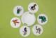 3.5x3.5 Marble Dining Coaster Set Of 6 Pcs, Multi Stone Animals Design Art Set