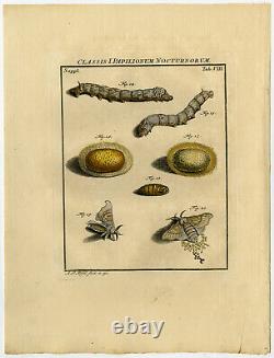 3 Antique Prints-SILKWORM-BOMBYX MORI-SILKMOTH-7/9-Rosel van Rosenhof-1765
