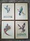 4 Herbert W. Fall Color Woodcuts Framed Signed Osprey Pheasants Mallard Falcon