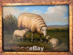 A Set of 2 Signed Oil On Canvas, Ornate Framed Sheep Painting, Artist Engel