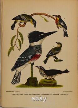 ALEXANDER WILSON & W. H. LIZARS-Set of 48 Hand Colored Book Plate Lithos- Birds
