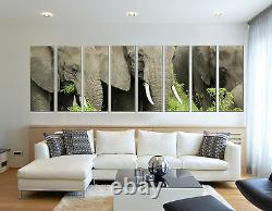 African Elephant Herd Photo Print on Canvas for Home and Office Wall Art Framed