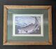 Al Agnew Rainbow Trout Wildlife Fish Prints Signed By Artist In Frame. 11x9
