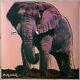Andy Warhol African Elephant 1986 Cmoa Limited Edition 24x24 O/s Lithograph