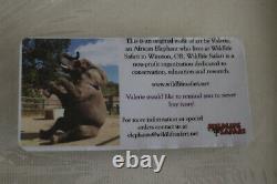 Animal Art Canvas Elephant Set Painting Profits to Charity
