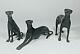 Antique Bronze Greyhounds Whippets Sculptures Set/3 C. 1800s