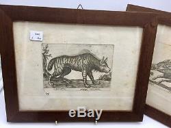 Antique Set 3 Framed Animal Engravings circa 1840