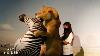 Artists Create Hyperrealistic Animals For Museum Displays