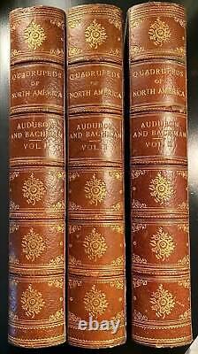 Audubon Quadrupeds of North America Three Volume Set