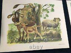 Baby Farm Animals Vintage Prints By Leonard Weisgard 1958 (Set of 6)