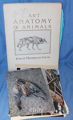 Bates Motel Norman's Animal Anatomy Taxidermy Art Book Set Movie TV Prop