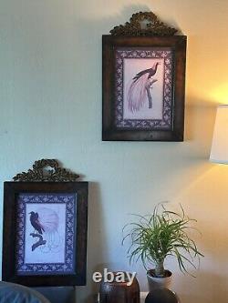 Beautiful Wall Art. Set Of Two. Birds Of Paradise Antique Prints