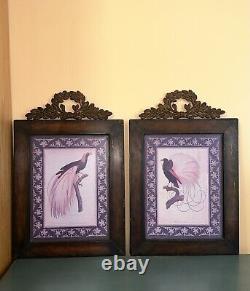 Beautiful Wall Art. Set Of Two. Birds Of Paradise Antique Prints