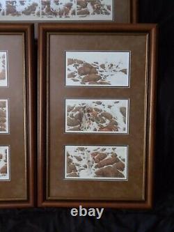 Bev Doolittle Hide and Seek print full set framed with certificate of authenticity