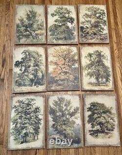 Botanical Trees Set of 9 Oil Print Burlap Wooden Canvas Paintings Wall Decor