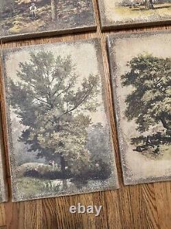 Botanical Trees Set of 9 Oil Print Burlap Wooden Canvas Paintings Wall Decor