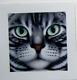 Braldt Bralds American Shorthair Signed And Numbered With Cert