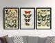 Butterflies Set Of 3 Adolphe Millot Art Prints Butterfly Poster Animal 2
