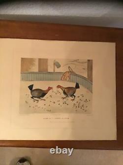 C. R. Stock Set of Six Early 19th Century Engravings Proofs Cockfighting Series