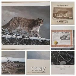 CHARLES FRACE LTD Edition LOT Signed Numbered Print Collection W Sleeves/COA