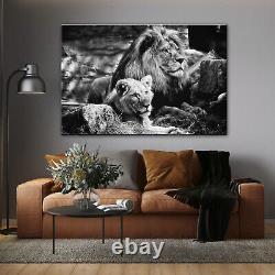 Couple of lions Print Canvas Love Wild Nature Wall Decor Animals Art Black White