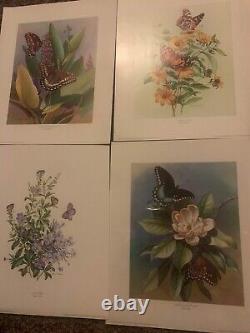 Diane Pierce Art Print 99 Sets Of 4 In Each Set