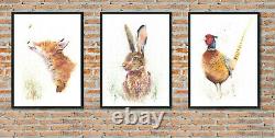 Fine Art Print Set of FOX, PHEASANT and HARE by HELEN APRIL ROSE 173 200 160