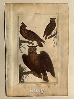 Georges Louis LeClerc/Comte de Buffon Atlas des oiseaux 2 hand colored engraving