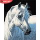 Horse Animal Canvas Art Picture Acrylic Diy Paint Set By Numbers Kits For Adults
