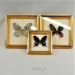 House Of Global Arts Set Of Three Butterfly's Under Glass Preowned