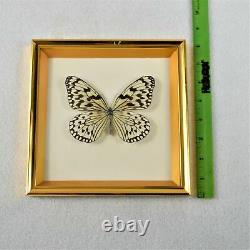 House Of Global Arts Set Of Three Butterfly's Under Glass Preowned