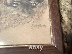 J. Sharkey Thomas Raccoon Framed 8X5.5 Prints Signed 1977 Set of Three