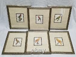Jacques Barraband SET of 6 Prints Paragon Picture Gallery Parrot Miniatures