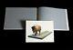 Josh Keyes Book Sprout & Sowing I Print Signed Numbered Print Set