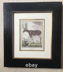 L'Elan & Le Sajou Brun Color Engraved Animal Prints(framed) Set Of 2