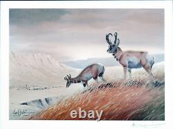 LARGE GAME ANIMALS Set of 5 Beautiful Rare Prints Signed by Les Kouba