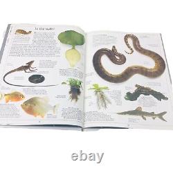 Lot of 32 DK Eyewitness Books Science History Art Animals Homeschool Set