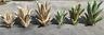 Metal Yard Art Agave Cactus Sculpture Set Of 3 Home Decor Agave Gift Metal Agave