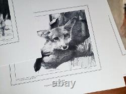 Misty Valley Artwork Mitchell Tolle 302/4790 Art Lithograph Box Set + Paperwork