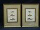 Pair Of Framed Antique 19 C. Spanish Hand Colored Engraving Fish Species