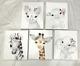 Pre-owmed Cute Baby Animals Nursery Canvas 14x11 Wall Art Picture Set Of 5