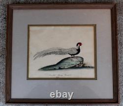 Pair 1794 William Hayes Handcolored Bird Engraving Pheasants One Signed Charles