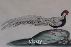 Pair 1794 William Hayes Handcolored Bird Engraving Pheasants One Signed Charles