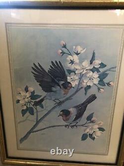 Pair Of Vintage Saron Framed Bird Prints Quality Wooden Frames 20x 16