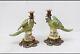 Pair Set Porcelain, Bronze Candlestick Parrots On Branch Bird Parrot Art Deco
